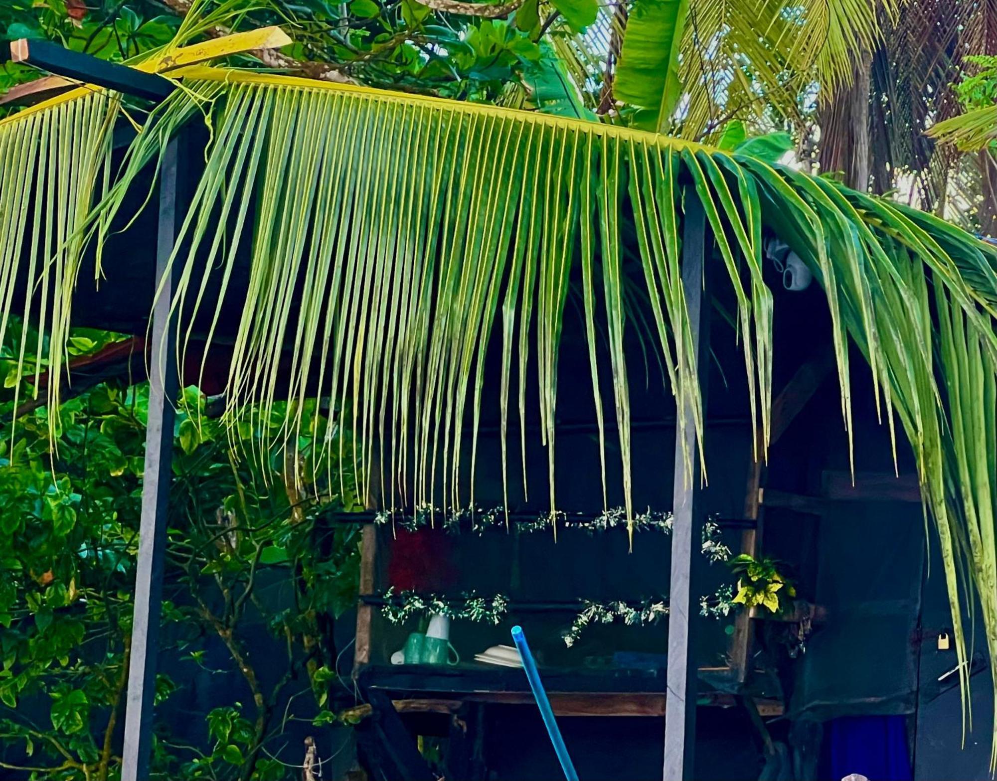 Beachfront Paradise Manuel Antonio Exterior foto