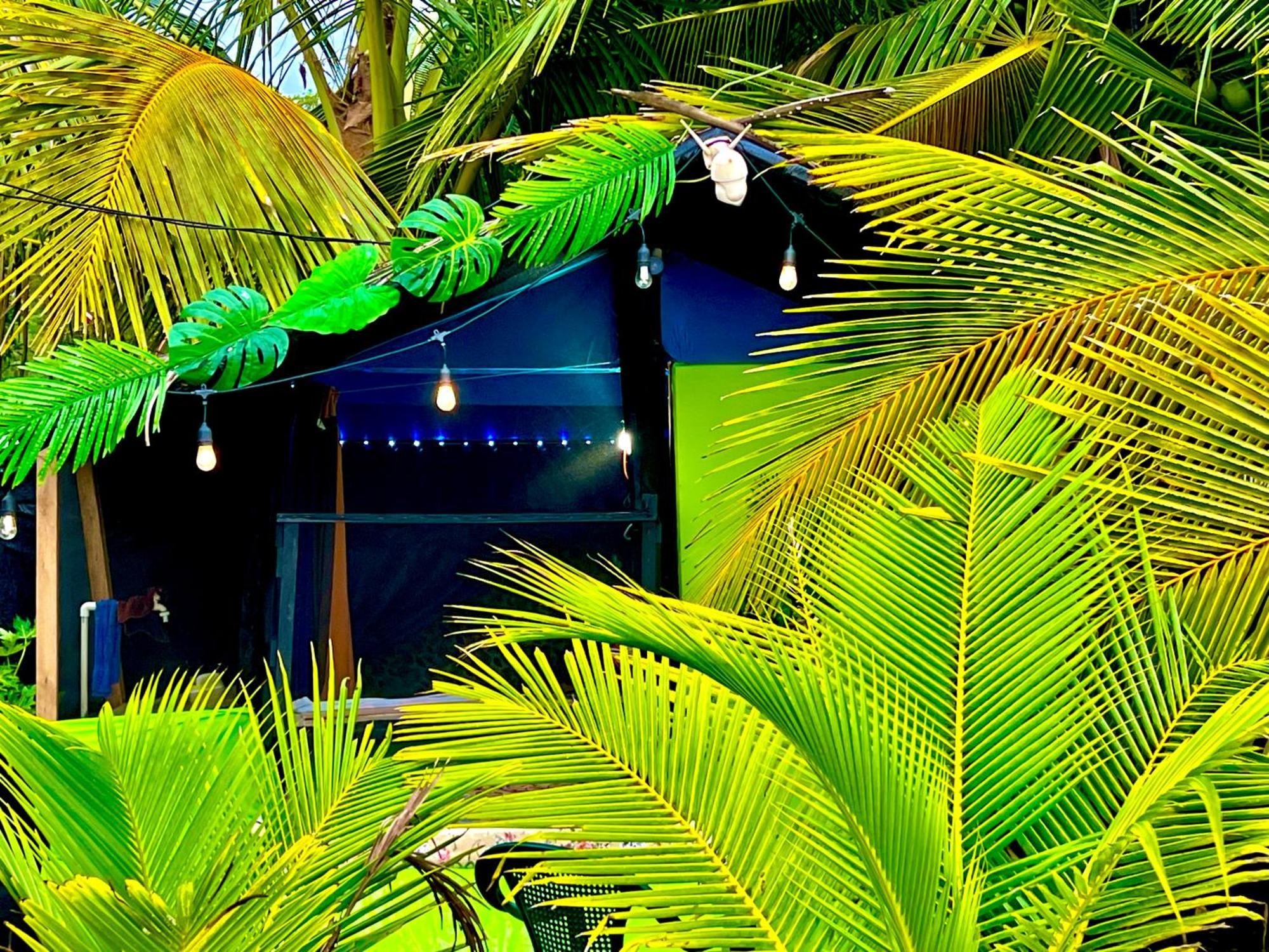 Beachfront Paradise Manuel Antonio Exterior foto